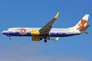 TUIfly Boeing 737-8K5 (D-AHFR) at  Gran Canaria, Spain