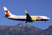 TUIfly Boeing 737-8K5 (D-AHFR) at  Tenerife Sur - Reina Sofia, Spain