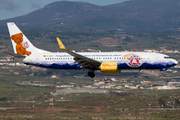 TUIfly Boeing 737-8K5 (D-AHFR) at  Tenerife Sur - Reina Sofia, Spain