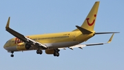 TUIfly Boeing 737-8K5 (D-AHFT) at  Dusseldorf - International, Germany