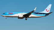 TUIfly Boeing 737-8K5 (D-AHFT) at  Frankfurt am Main, Germany