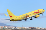 TUIfly Boeing 737-8K5 (D-AHFT) at  Tenerife Sur - Reina Sofia, Spain