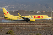 TUIfly Boeing 737-8K5 (D-AHFT) at  Tenerife Sur - Reina Sofia, Spain