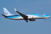 TUI Airlines Germany Boeing 737-8K5 (D-AHFV) at  Frankfurt am Main, Germany