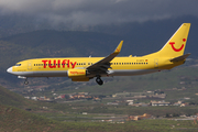 TUIfly Boeing 737-8K5 (D-AHFV) at  Tenerife Sur - Reina Sofia, Spain
