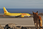 TUIfly Boeing 737-8K5 (D-AHFV) at  Tenerife Sur - Reina Sofia, Spain