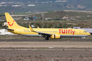 TUIfly Boeing 737-8K5 (D-AHFW) at  Tenerife Sur - Reina Sofia, Spain