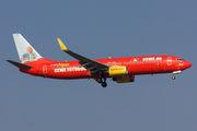 TUIfly Boeing 737-8K5 (D-AHFZ) at  Frankfurt am Main, Germany