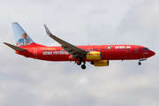 TUIfly Boeing 737-8K5 (D-AHFZ) at  Tenerife Sur - Reina Sofia, Spain