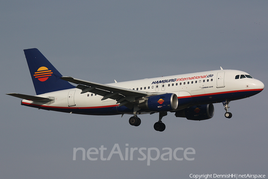 Hamburg International Airbus A319-112 (D-AHIJ) | Photo 404432