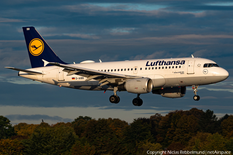 Lufthansa Airbus A319-112 (D-AIBB) | Photo 407192