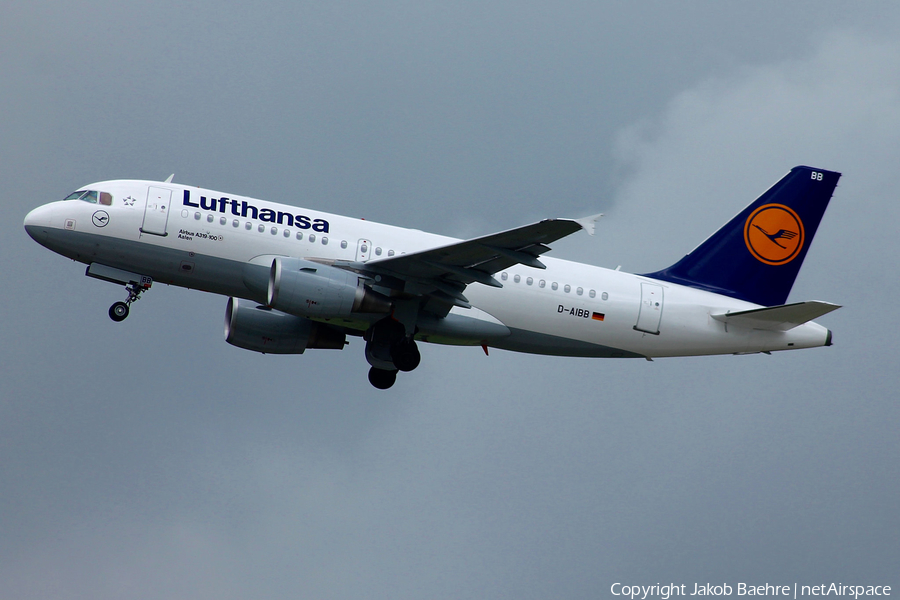 Lufthansa Airbus A319-112 (D-AIBB) | Photo 173828