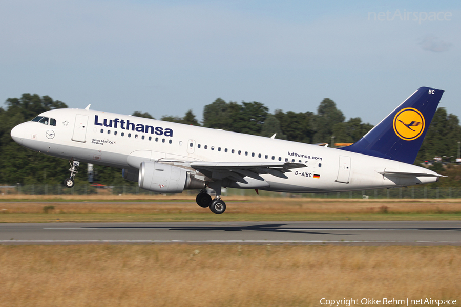 Lufthansa Airbus A319-112 (D-AIBC) | Photo 52356