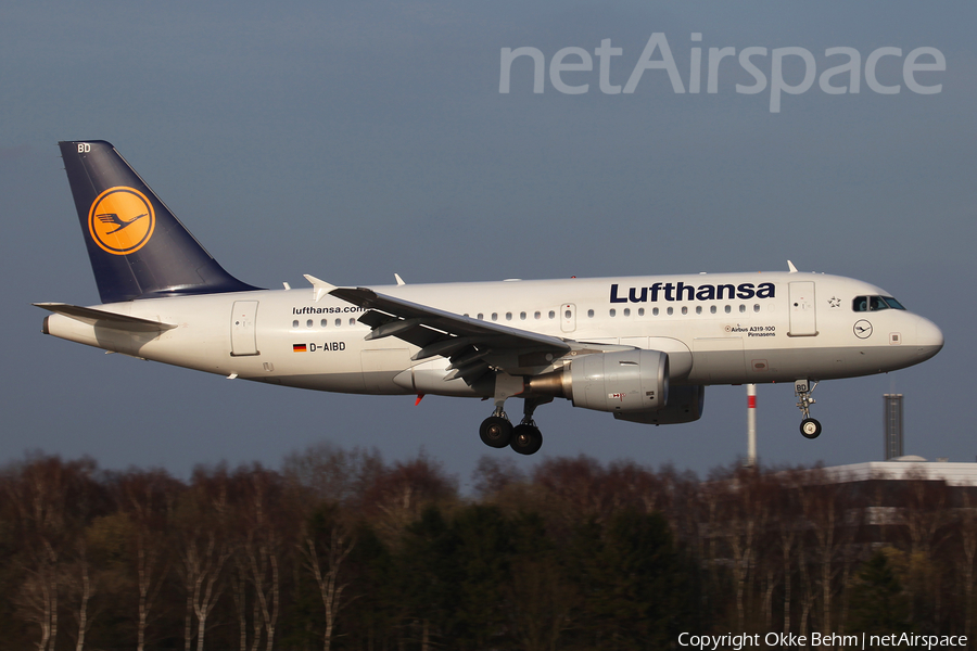Lufthansa Airbus A319-112 (D-AIBD) | Photo 104147