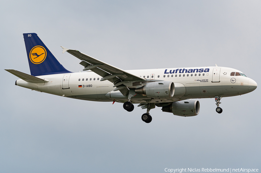 Lufthansa Airbus A319-112 (D-AIBD) | Photo 446881