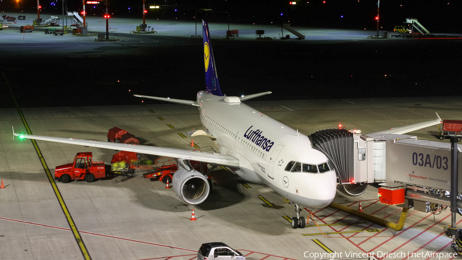 Lufthansa Airbus A319-112 (D-AIBD) | Photo 532349