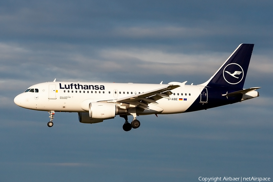 Lufthansa Airbus A319-112 (D-AIBE) | Photo 367797