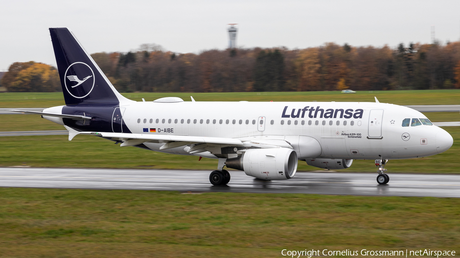 Lufthansa Airbus A319-112 (D-AIBE) | Photo 435549