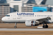 Lufthansa Airbus A319-112 (D-AIBE) at  Munich, Germany