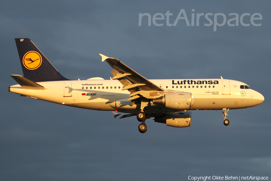 Lufthansa Airbus A319-112 (D-AIBF) | Photo 175246