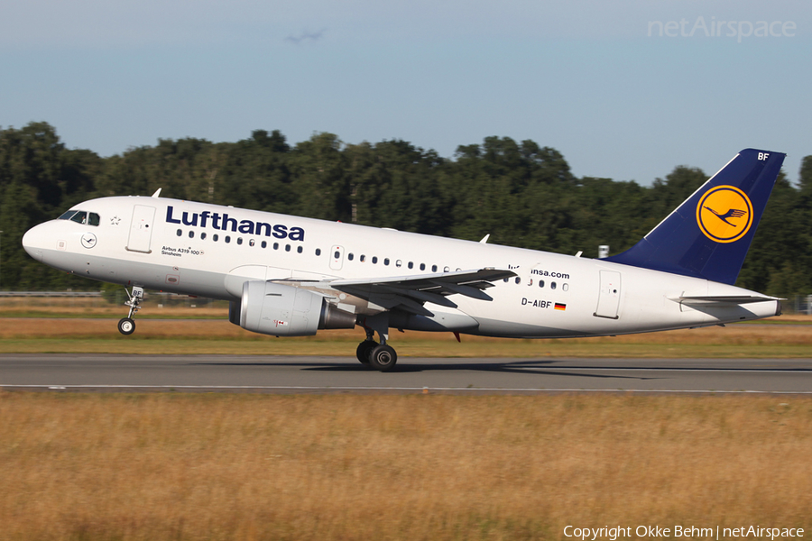 Lufthansa Airbus A319-112 (D-AIBF) | Photo 52357