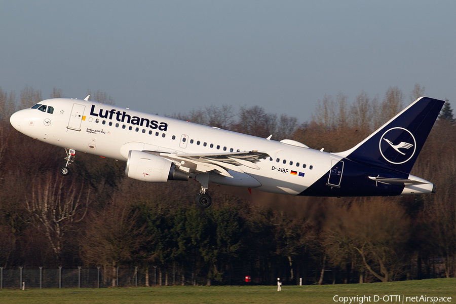 Lufthansa Airbus A319-112 (D-AIBF) | Photo 363521