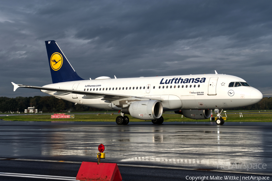 Lufthansa Airbus A319-112 (D-AIBF) | Photo 392514