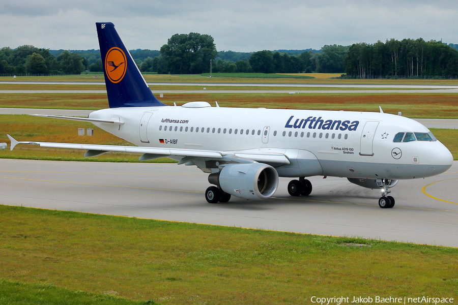 Lufthansa Airbus A319-112 (D-AIBF) | Photo 173830