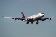 Lufthansa Airbus A340-211 (D-AIBF) at  Hamburg - Fuhlsbuettel (Helmut Schmidt), Germany