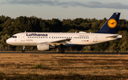 Lufthansa Airbus A319-112 (D-AIBG) at  Münster/Osnabrück, Germany