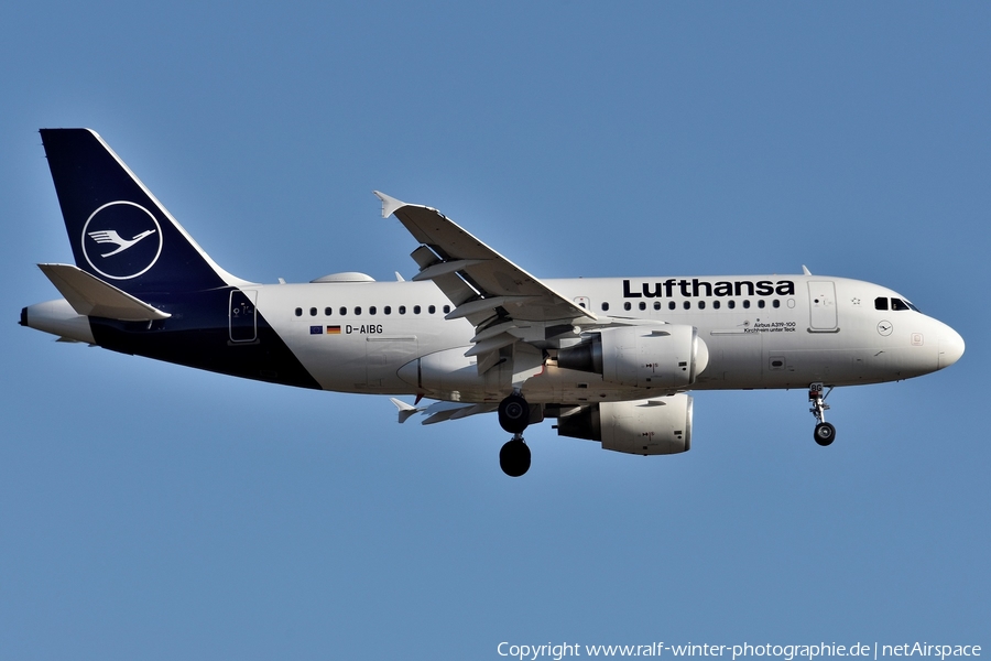 Lufthansa Airbus A319-112 (D-AIBG) | Photo 425034