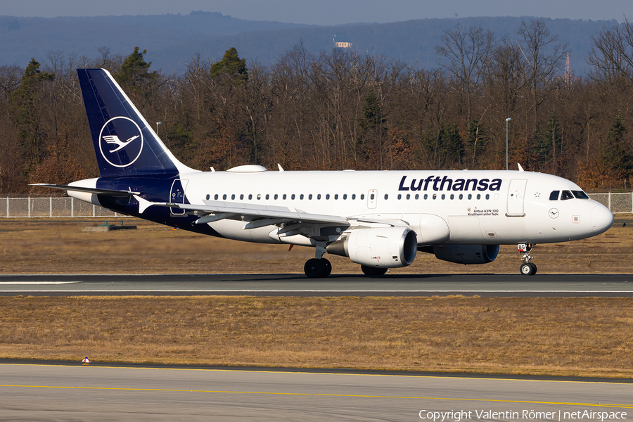 Lufthansa Airbus A319-112 (D-AIBG) | Photo 681068