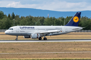 Lufthansa Airbus A319-112 (D-AIBG) at  Frankfurt am Main, Germany