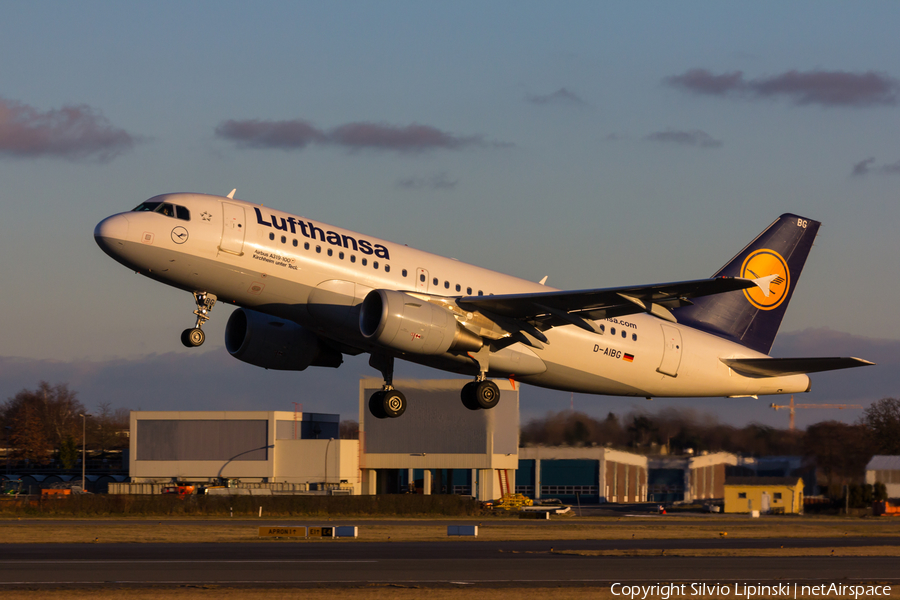 Lufthansa Airbus A319-112 (D-AIBG) | Photo 137903