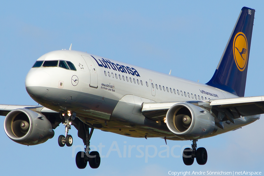 Lufthansa Airbus A319-112 (D-AIBG) | Photo 34687