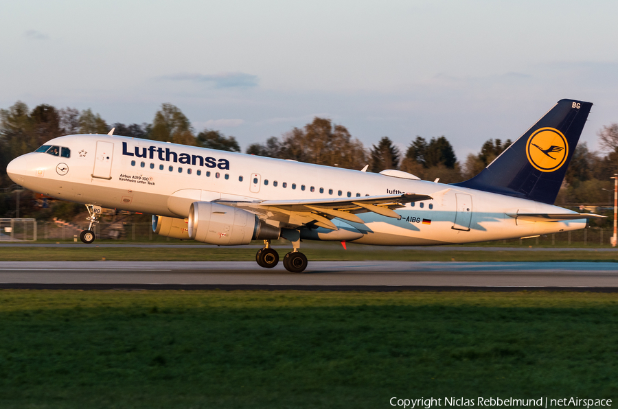 Lufthansa Airbus A319-112 (D-AIBG) | Photo 311850