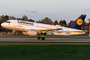 Lufthansa Airbus A319-112 (D-AIBG) at  Hamburg - Fuhlsbuettel (Helmut Schmidt), Germany