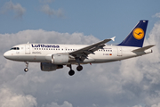 Lufthansa Airbus A319-112 (D-AIBG) at  Hamburg - Fuhlsbuettel (Helmut Schmidt), Germany