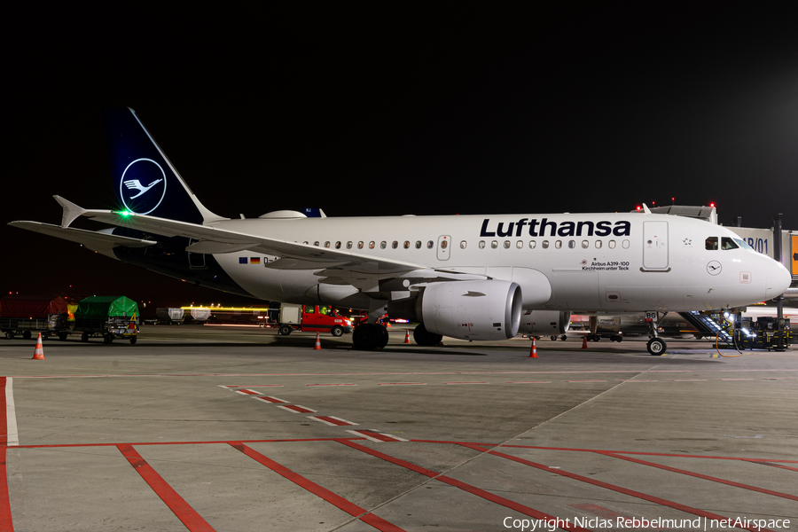 Lufthansa Airbus A319-112 (D-AIBG) | Photo 360235