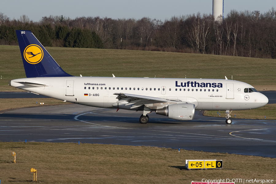 Lufthansa Airbus A319-112 (D-AIBG) | Photo 373150