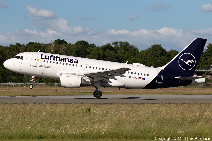 Lufthansa Airbus A319-112 (D-AIBG) | Photo 391452