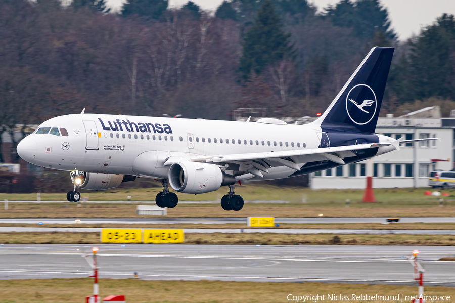 Lufthansa Airbus A319-112 (D-AIBG) | Photo 424288