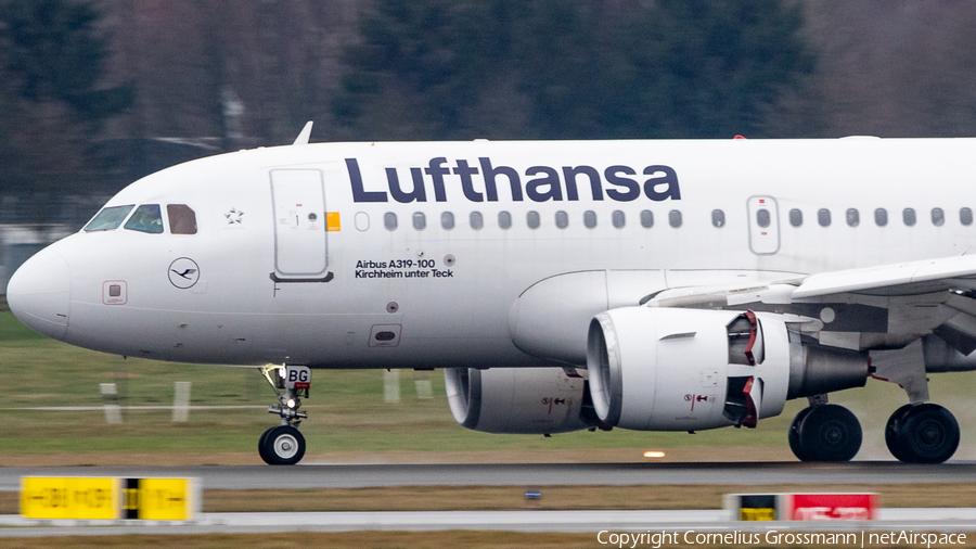 Lufthansa Airbus A319-112 (D-AIBG) | Photo 424342