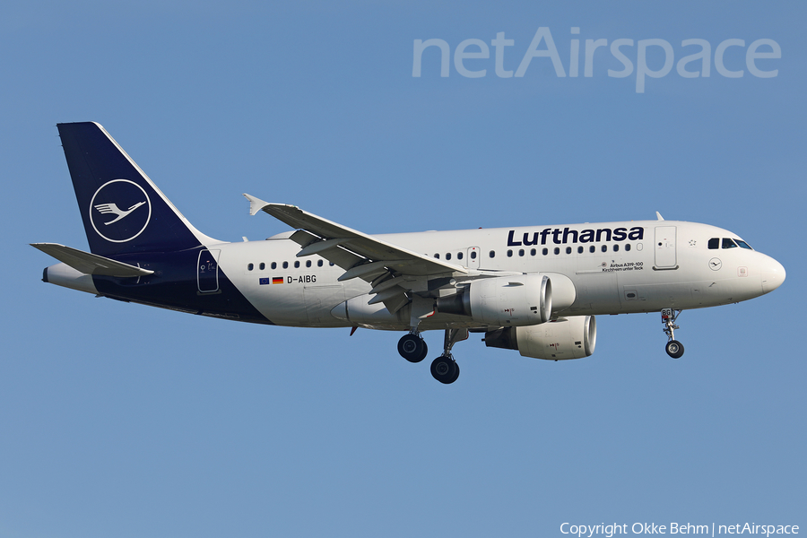 Lufthansa Airbus A319-112 (D-AIBG) | Photo 479042