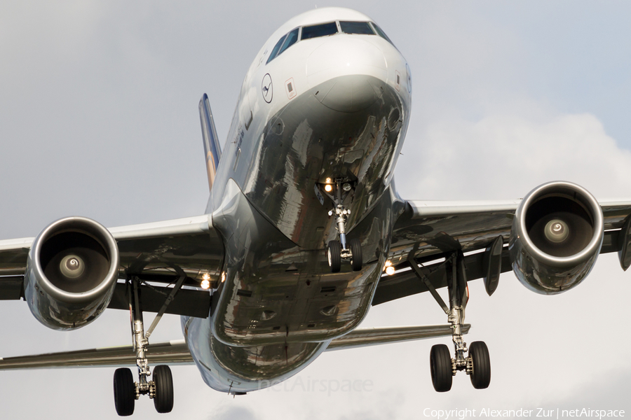 Lufthansa Airbus A319-112 (D-AIBG) | Photo 136379