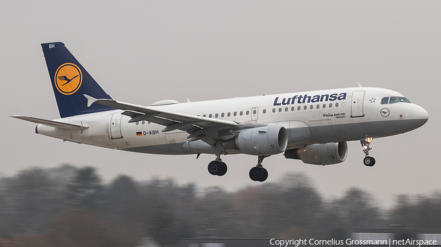 Lufthansa Airbus A319-112 (D-AIBH) | Photo 415000