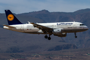 Lufthansa Airbus A319-112 (D-AIBI) at  Gran Canaria, Spain