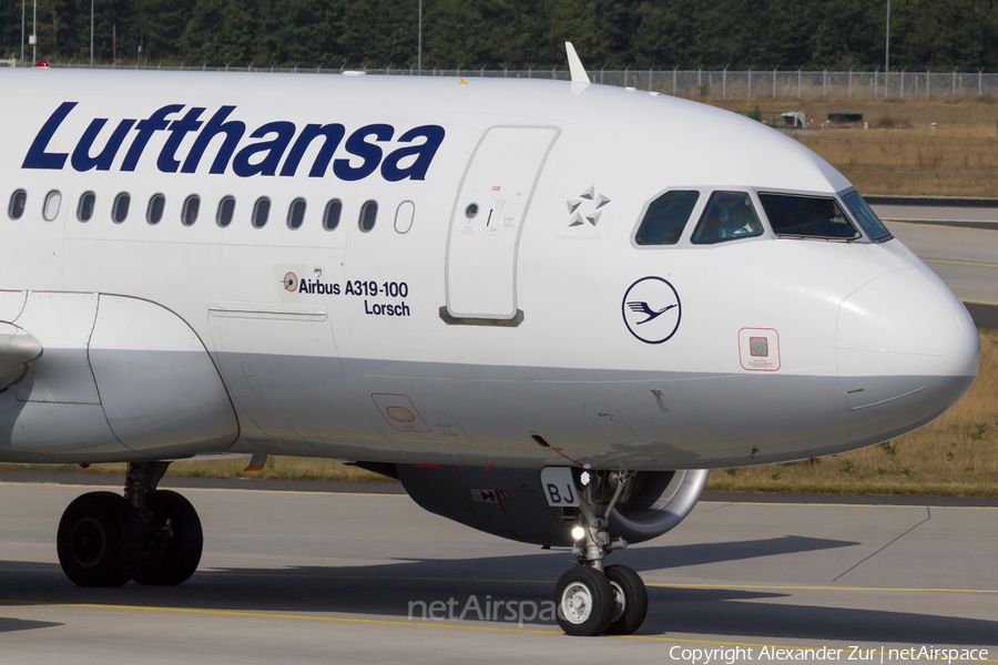 Lufthansa Airbus A319-112 (D-AIBJ) | Photo 125848