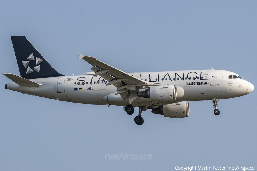 Lufthansa Airbus A319-112 (D-AIBJ) | Photo 467901