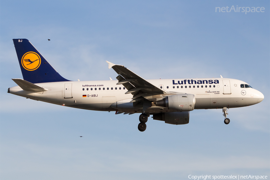Lufthansa Airbus A319-112 (D-AIBJ) | Photo 103866